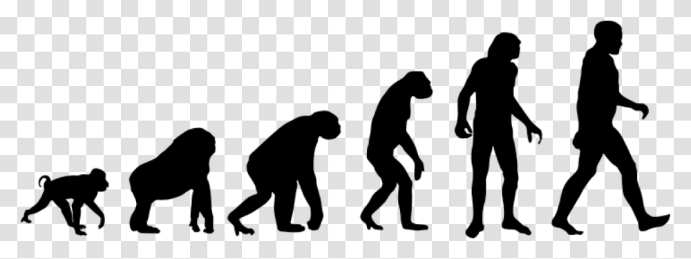 History Of Evolution, Person, Human, Silhouette, Kneeling Transparent Png