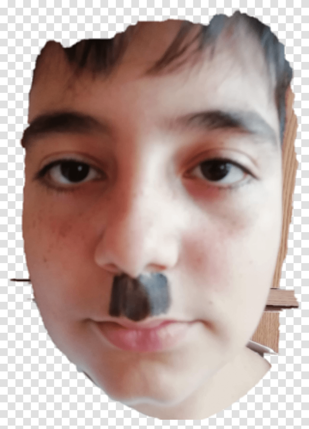 Hitler Close Up, Face, Person, Finger, Head Transparent Png