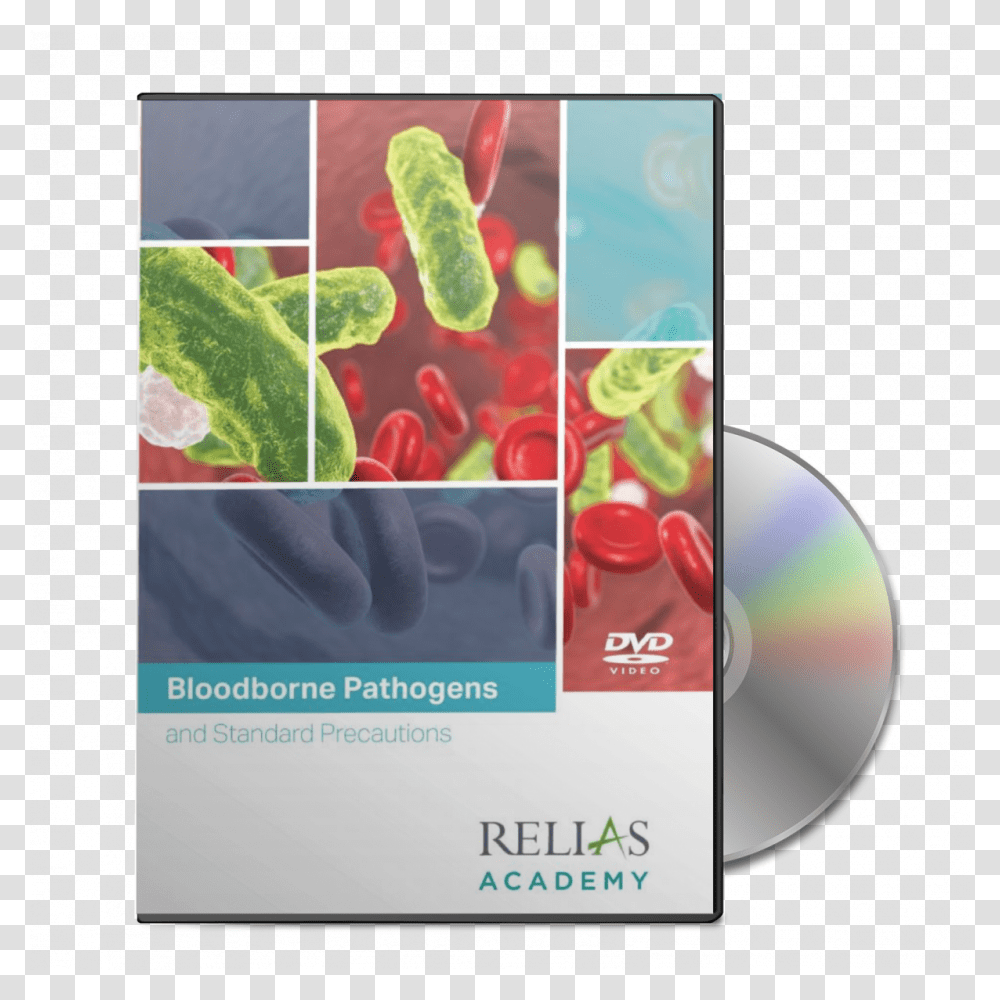Hiv Hepatitis And Standard Precautions Septic Shock, Plant, Disk, Dvd Transparent Png