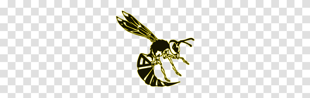 Hive Disc Golf Co, Wasp, Bee, Insect, Invertebrate Transparent Png