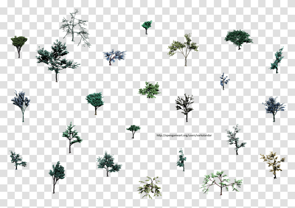 Hjm Small Trees Roots 1 Alpha Tree Isometric Lines, Plant, Vegetation, Pattern, Fractal Transparent Png