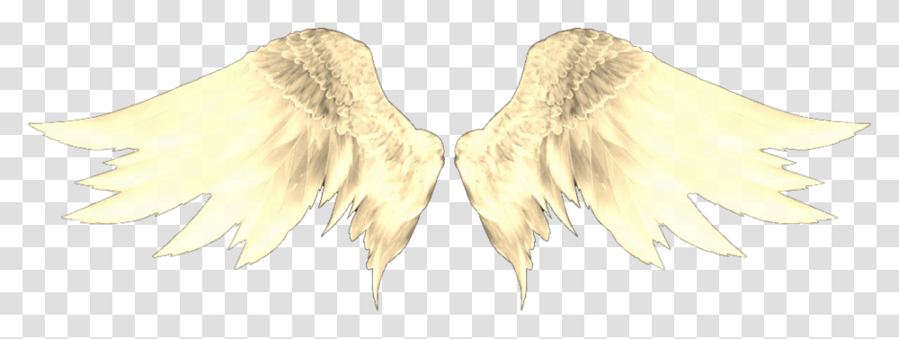 Hmm I Want A Catchy Title So Here Face Angel Face Michael Jackson, Bird, Animal, Waterfowl Transparent Png