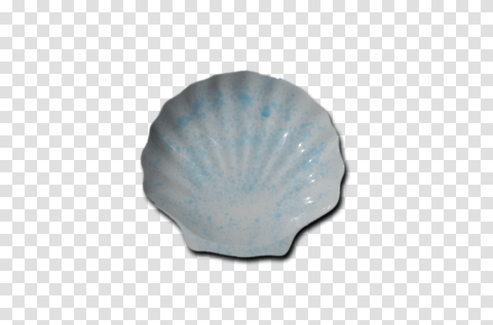 Hnh, Clam, Seashell, Invertebrate, Sea Life Transparent Png