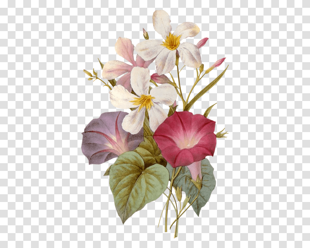 Hnh Nh Good Evening, Plant, Flower, Blossom, Flower Arrangement Transparent Png