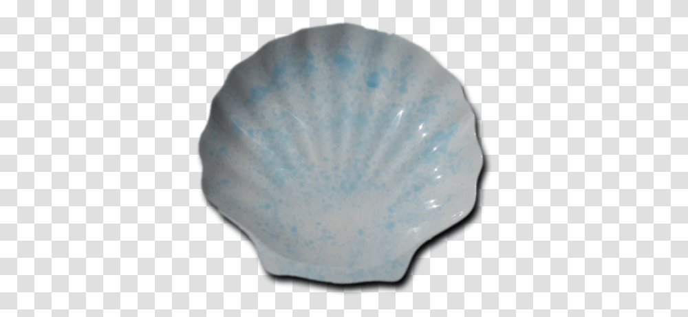 Hnh Shell, Clam, Seashell, Invertebrate, Sea Life Transparent Png