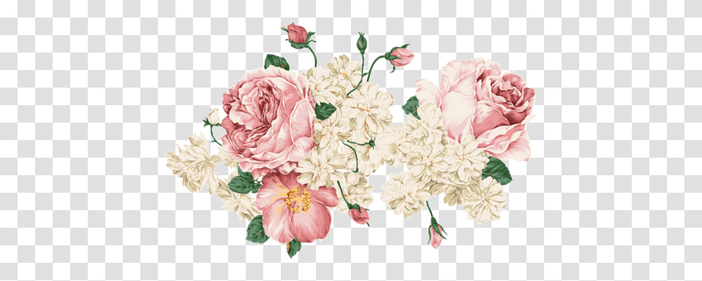 Hoa Mu N Mu Nuoc, Plant, Flower, Blossom, Floral Design Transparent Png