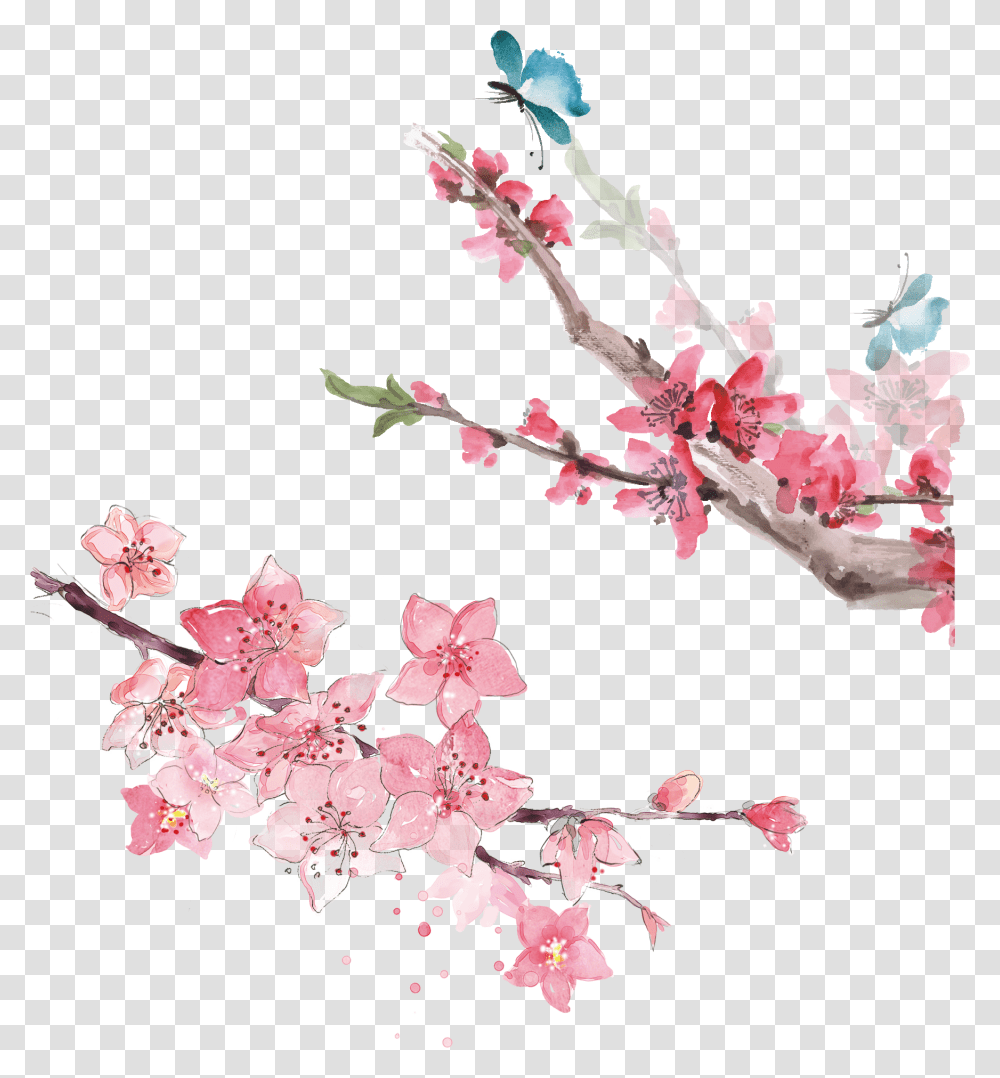 Hoa O Hnh V, Plant, Flower, Blossom, Cherry Blossom Transparent Png
