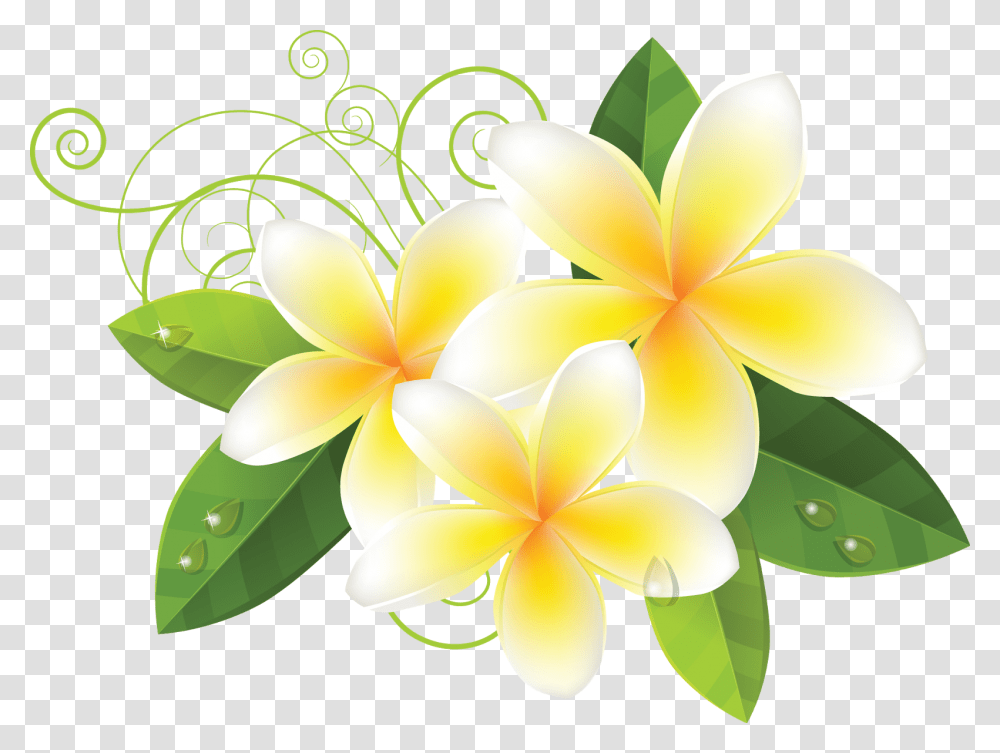 Hoa Van Vector, Floral Design, Pattern Transparent Png