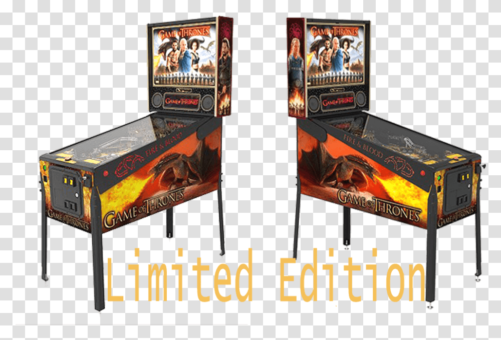Hobbit Pinball Limited Edition, Arcade Game Machine, Person, Human, Flyer Transparent Png