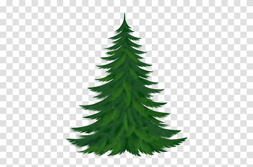 Hobby Christmas, Tree, Plant, Christmas Tree, Ornament Transparent Png