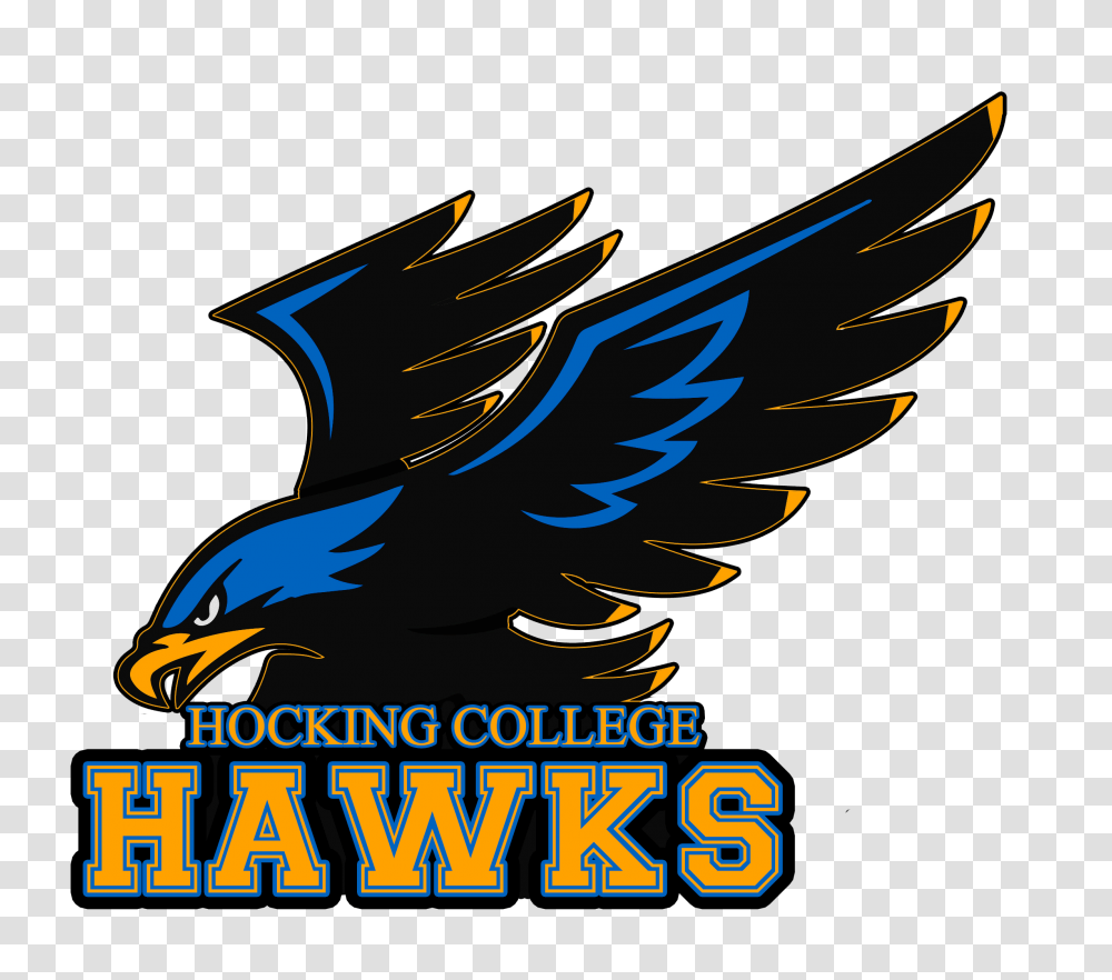 Hocking College Athletics, Eagle, Bird, Animal Transparent Png