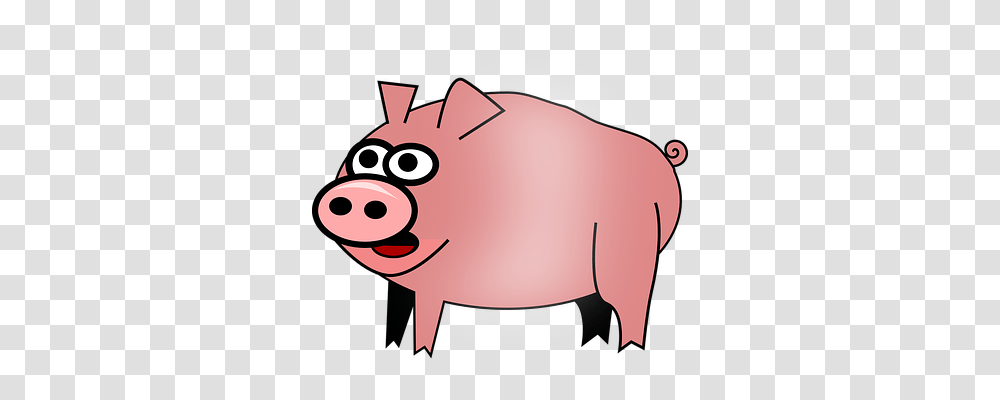 Hog Animals, Pig, Mammal, Piggy Bank Transparent Png