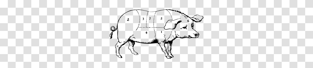 Hog Clip Art Free Vector, Mammal, Animal, Piggy Bank, Drawing Transparent Png