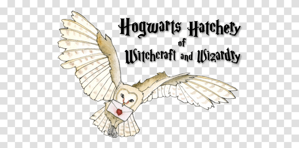 Hogwarts Hatchery Pigeons And Doves, Animal, Bird, Kite Bird, Flying Transparent Png