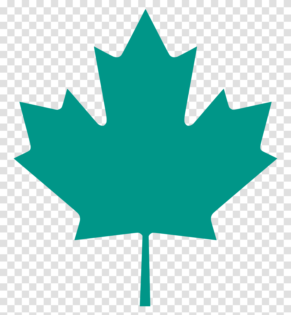Hoja Bandera De Canada Clipart Download Clip Art Canadian Maple Leaf, Green, Sphere Transparent Png
