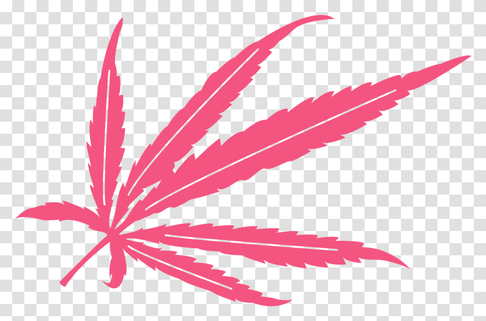 Hoja De Marihuana En Vector, Leaf, Plant, Flower, Blossom Transparent Png