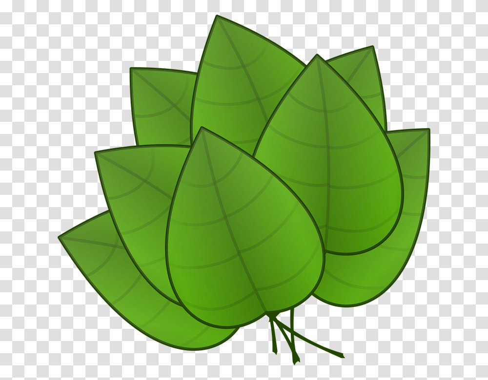 Hojas De Arboles Image, Leaf, Plant, Green, Lamp Transparent Png