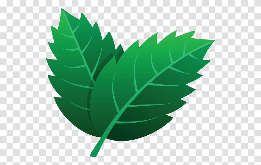 Hojas Illustration, Leaf, Plant, Green, Veins Transparent Png