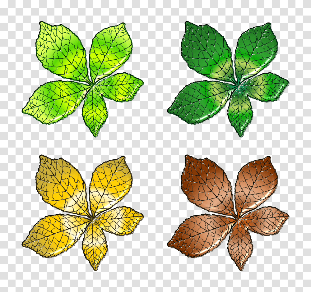 Hojas, Leaf, Plant, Veins, Tree Transparent Png