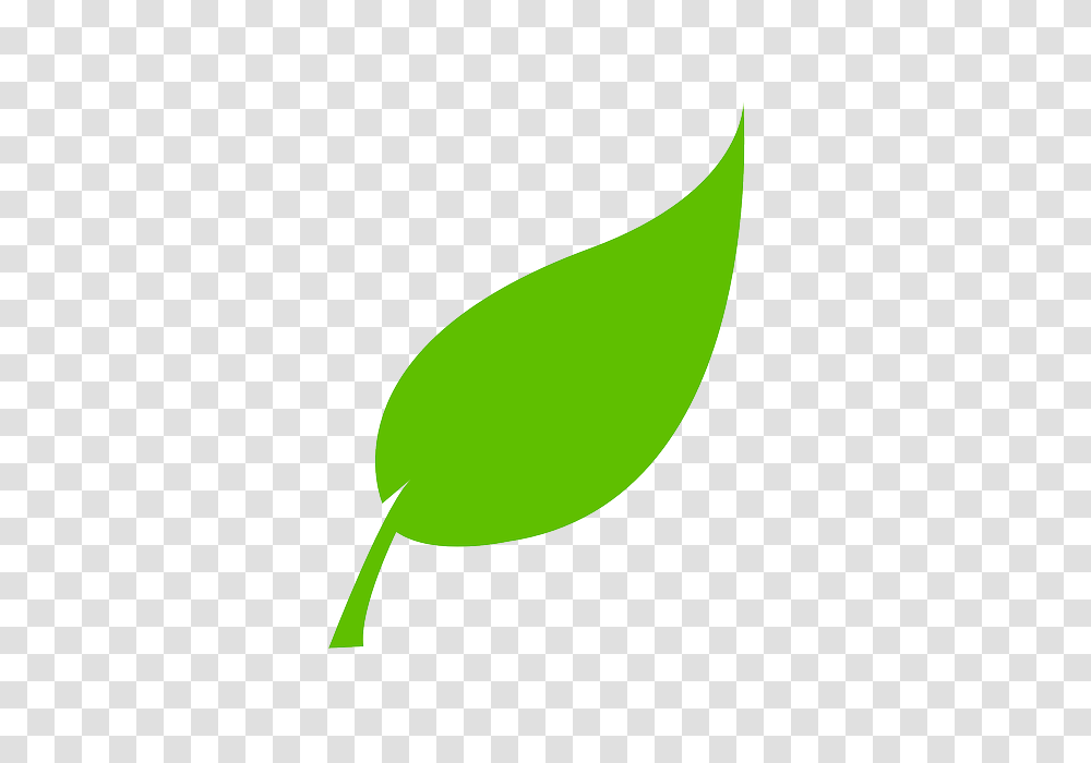 Hojas Vector Image, Plant, Green, Seed Transparent Png