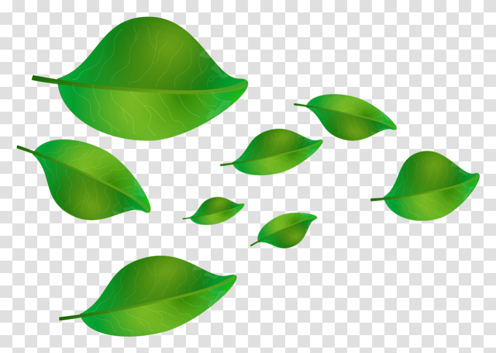 Hojas Verdes Cayendo, Leaf, Plant, Green Transparent Png