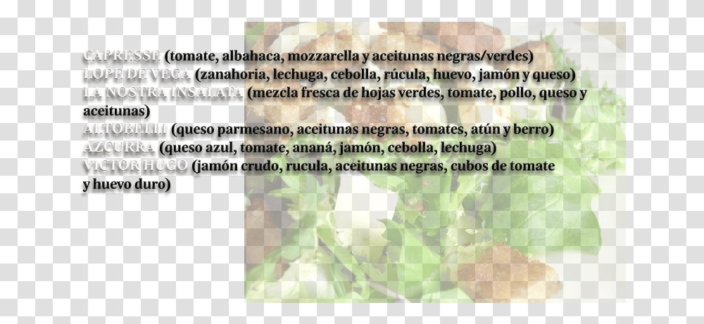 Hojas Verdes Ensalada Waldorf, Plant, Produce, Food, Vegetable Transparent Png