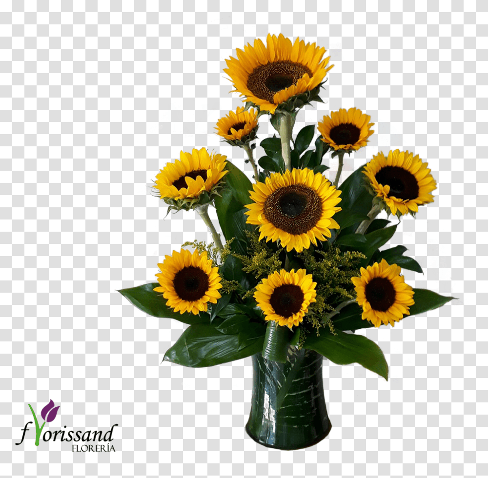 Hojas Verdes Sunflower, Plant, Blossom, Flower Arrangement, Flower Bouquet Transparent Png