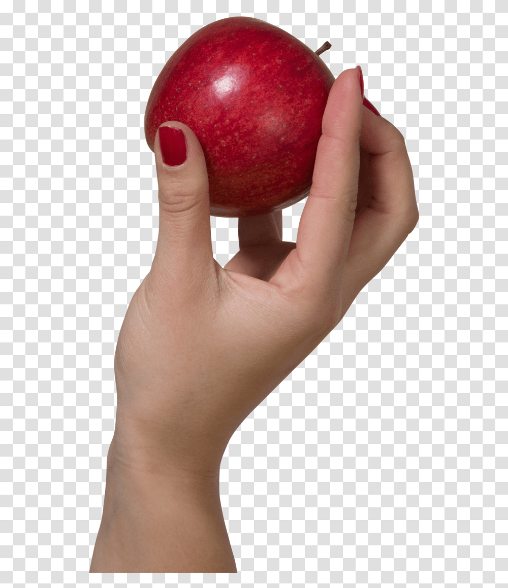 Holding An Apple Image Purepng Free Cc0 Hand Holding Apple, Person, Human, Fruit, Plant Transparent Png