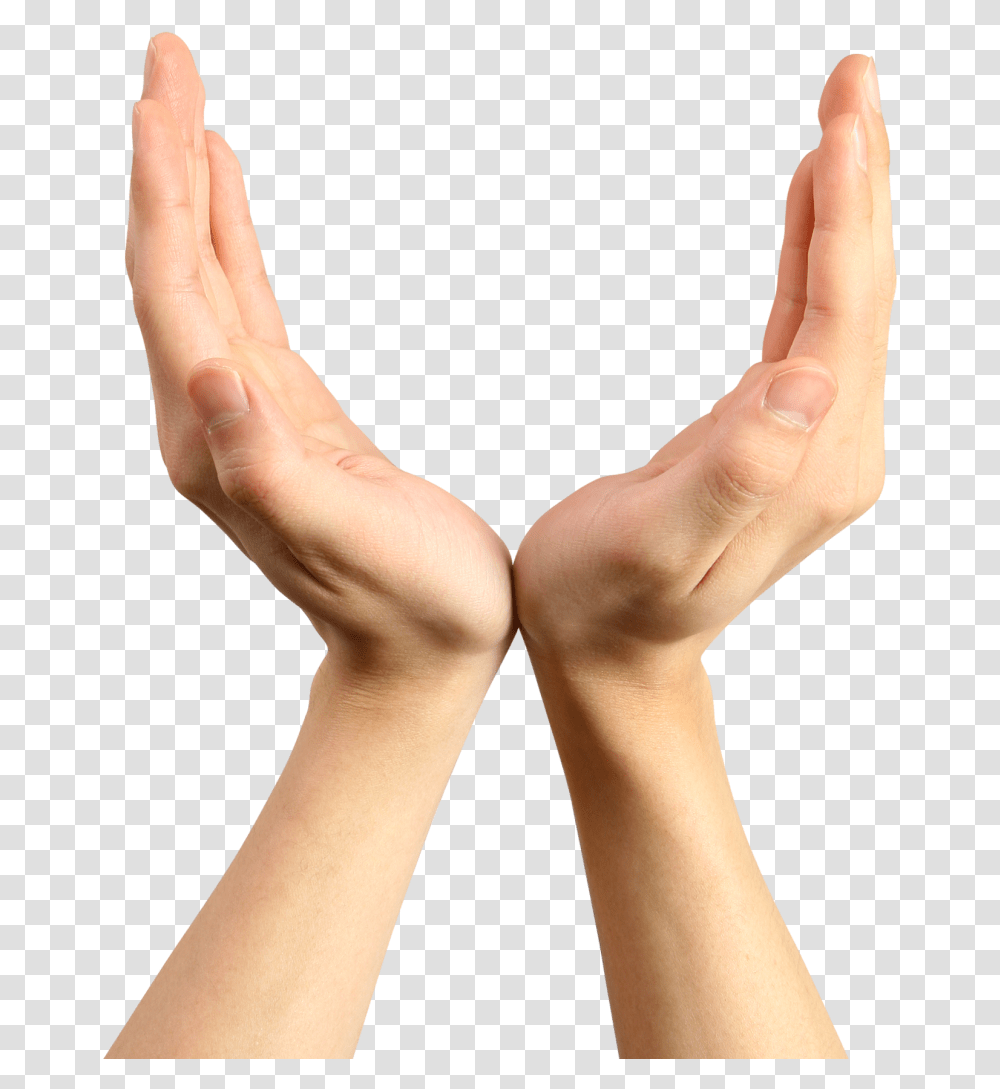 Holding Hand, Person, Human, Wrist, Finger Transparent Png