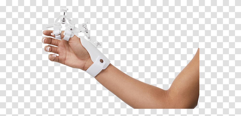 Holding Trophy, Arm, Hand, Person, Human Transparent Png