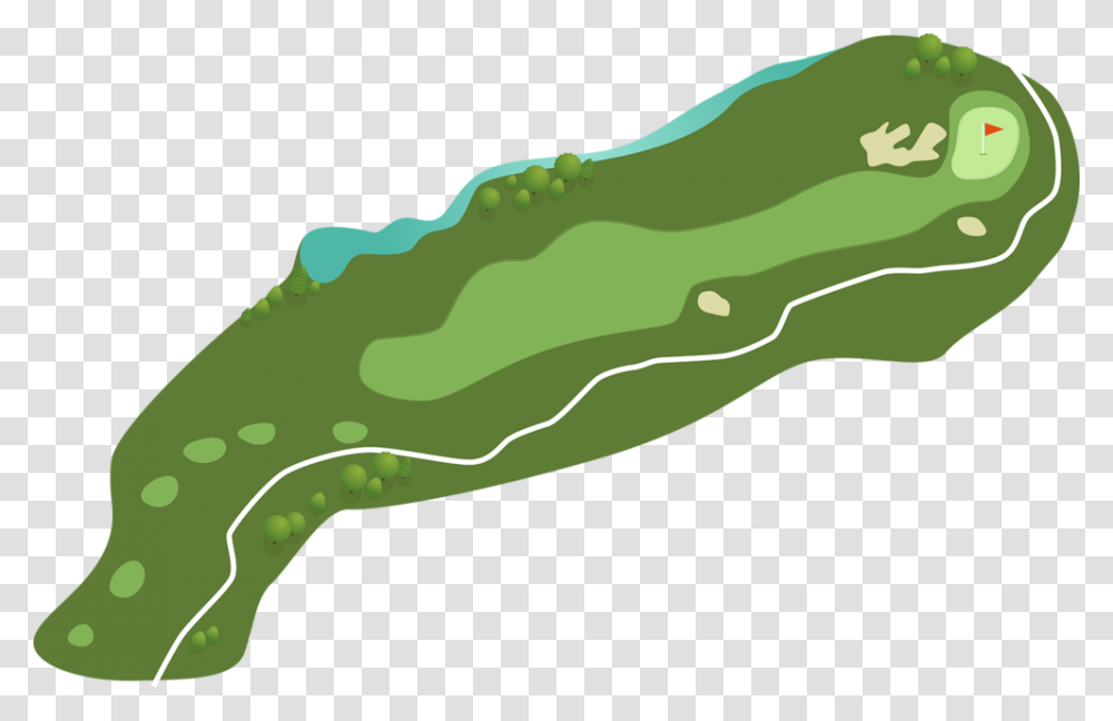 Hole 10 Illustration, Animal, Amphibian, Wildlife, Reptile Transparent Png