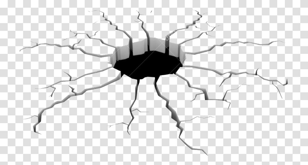 Hole Clipart Black And White, Sea Life, Animal, Spider, Invertebrate Transparent Png