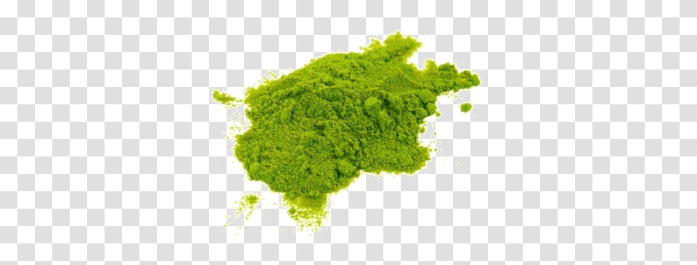 Holi Color Photos Mart Algae, Moss, Plant, Powder, Curry Transparent Png