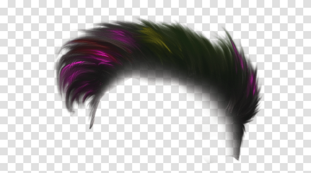 Holi Hair New Background, Ornament, Pattern, Fractal, Dog Transparent Png