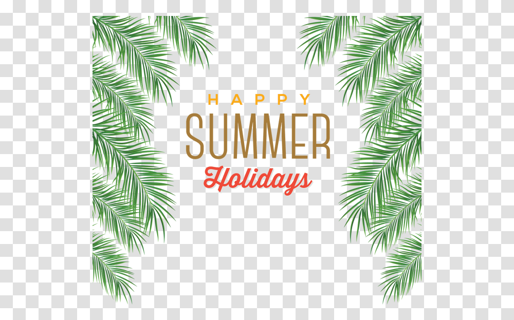Holiday At Home By Jason Grant Amp Lauren Bamford Happy Summer Background, Tree, Plant, Conifer, Fir Transparent Png