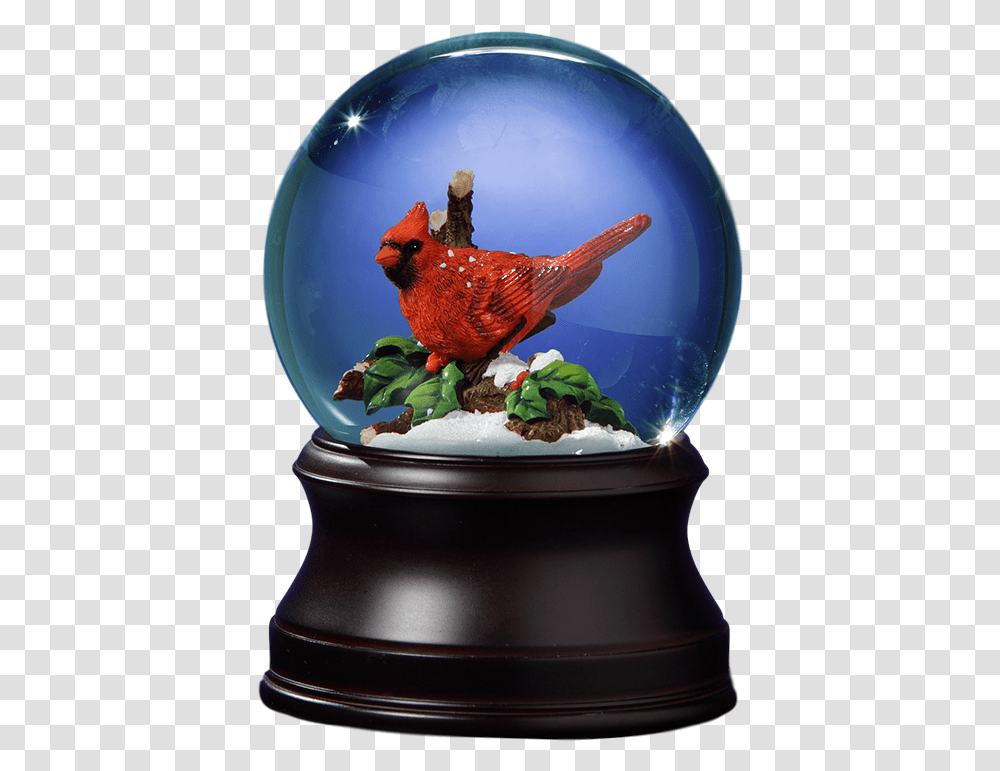 Holiday Cardinal Snow GlobeClass Okapi, Bird, Animal, Chicken, Poultry Transparent Png
