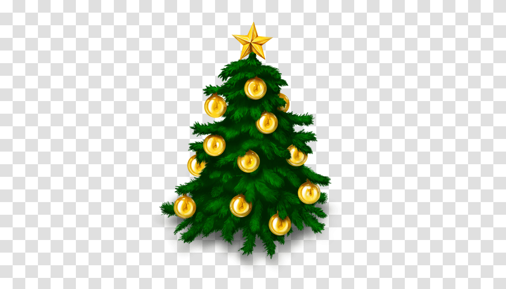 Holiday, Christmas Tree, Ornament, Plant Transparent Png