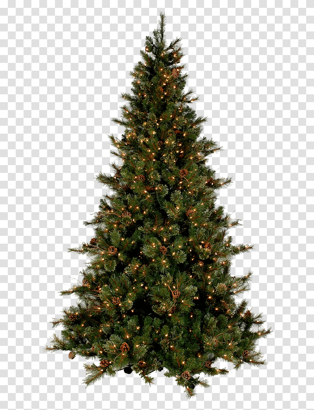 Holiday, Christmas Tree, Ornament, Plant Transparent Png