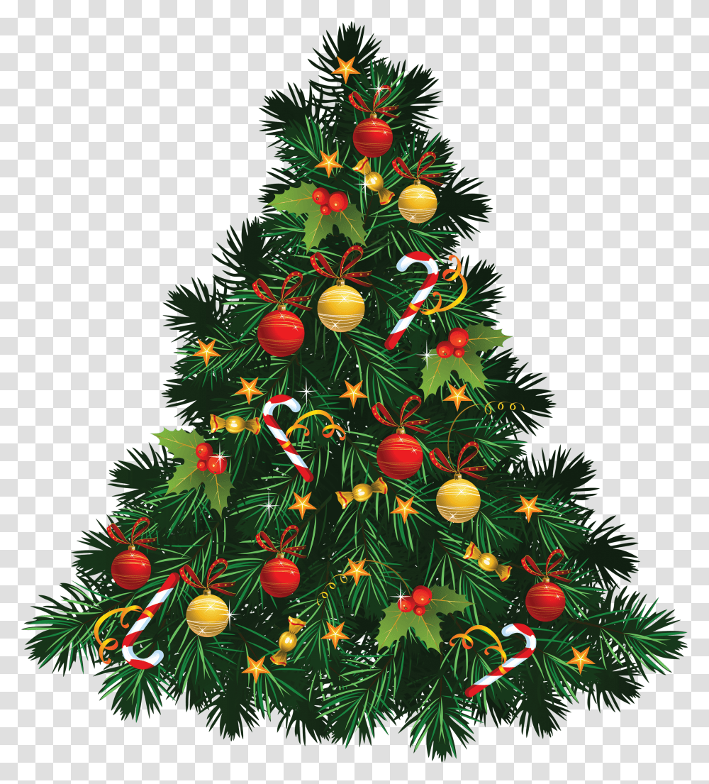 Holiday, Christmas Tree, Ornament, Plant Transparent Png