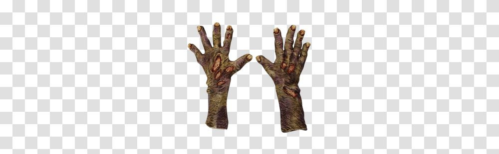 Holiday, Hand, Hook, Claw Transparent Png