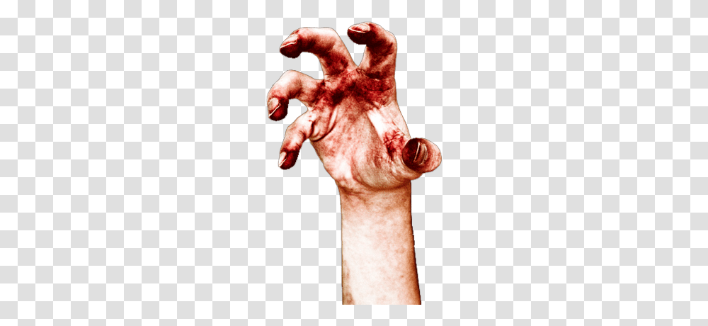Holiday, Hand, Wrist, Person Transparent Png