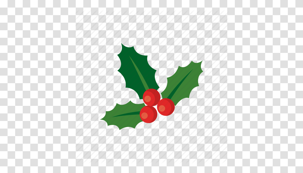 Holiday Holly, Leaf, Plant, Tree, Conifer Transparent Png