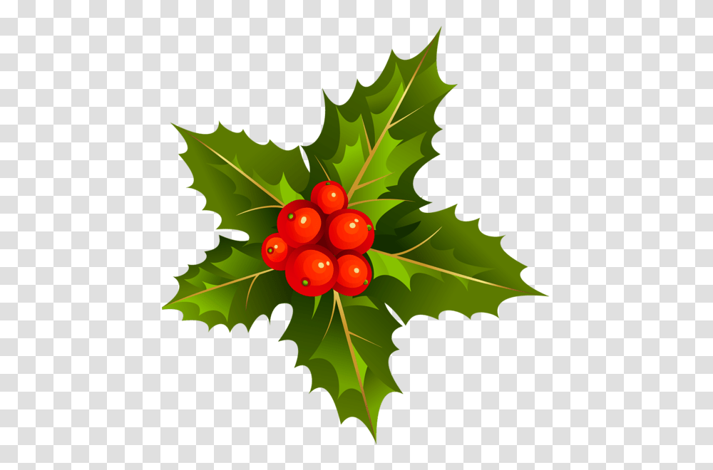 Holiday, Leaf, Plant, Fruit Transparent Png