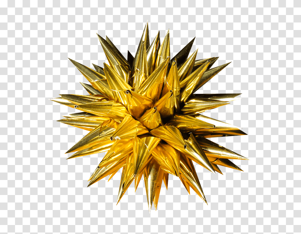 Holiday, Paper, Gold, Plant Transparent Png