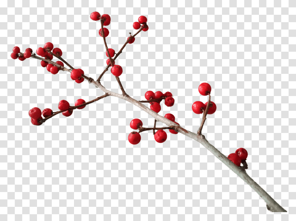 Holiday, Plant, Fruit, Food Transparent Png