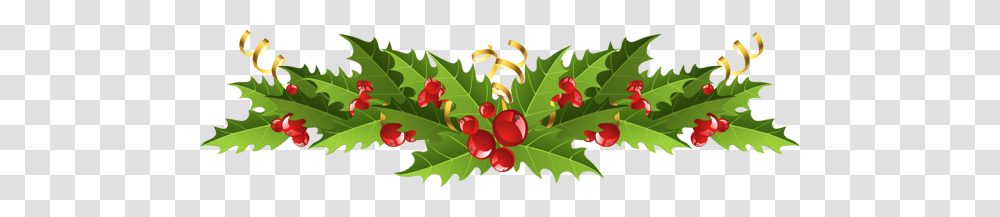 Holiday, Plant, Leaf, Fruit Transparent Png