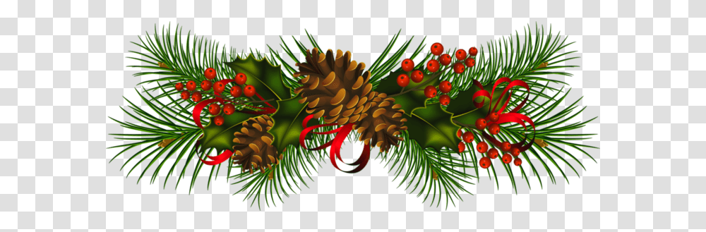 Holiday, Plant, Tree Transparent Png