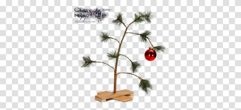 Holiday Renders Parental Alienation And Christmas, Plant, Leaf, Tree, Cross Transparent Png