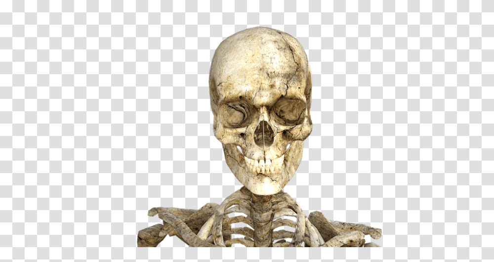 Holiday, Skeleton, Person, Human Transparent Png