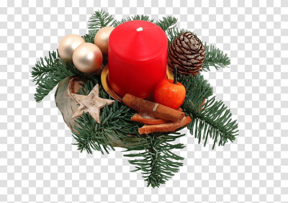 Holiday, Tree, Plant, Conifer Transparent Png